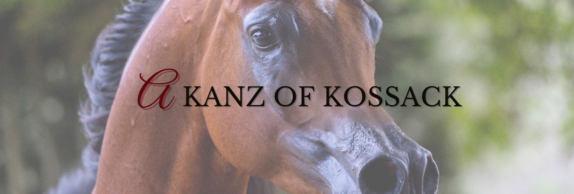 A Kanz of Kossack