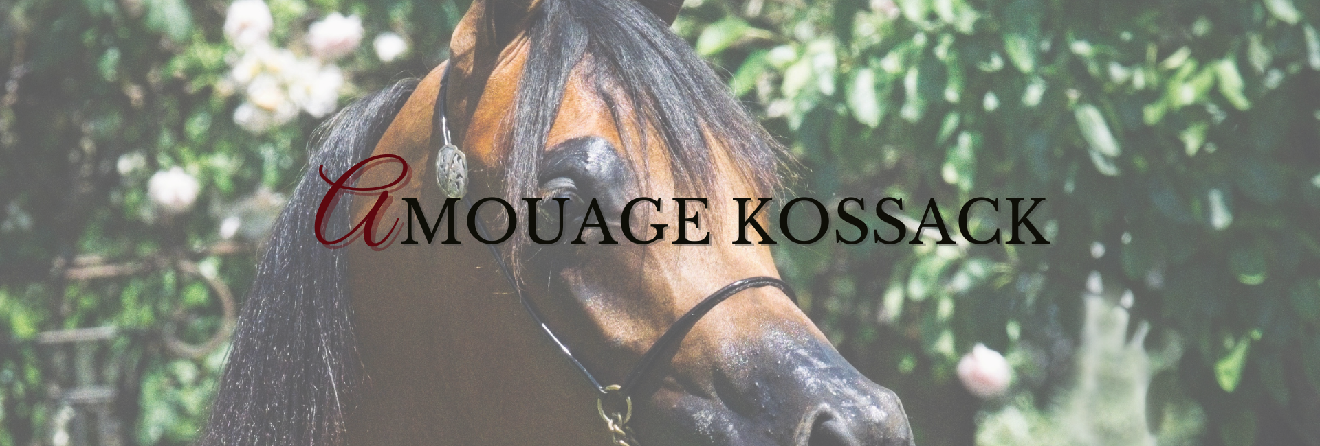 Amouage Kossack